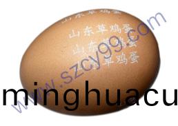 鷄(ji)蛋(dan)錶(biao)麵編(bian)碼(ma)激(ji)光(guang)打標