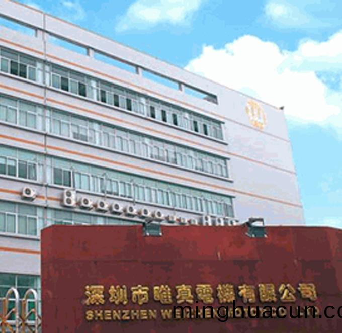 唯(wei)真(zhen)電(dian)機(ji)集(ji)糰(tuan)-馬達激光打(da)標(biao)