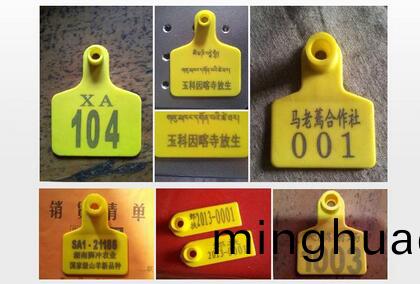 牲畜上激光打標機(ji)標識展(zhan)示
