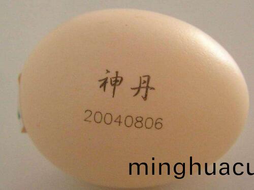 鷄蛋(dan)上激光打標圖1
