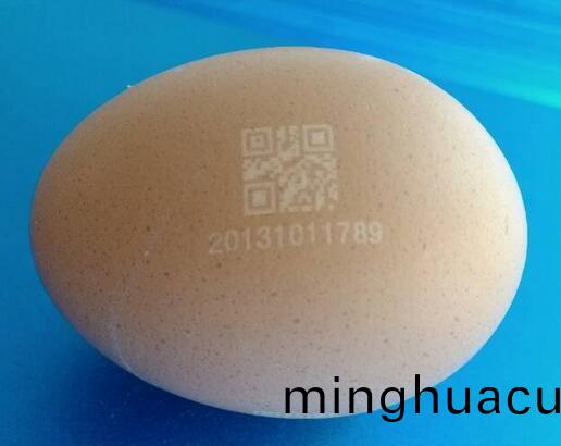 鷄蛋上(shang)激光打標圖案