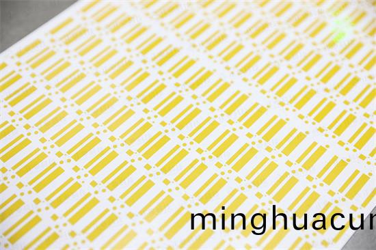 FPC/PI/PET覆(fu)蓋(gai)薄膜(mo)行(xing)業(ye)