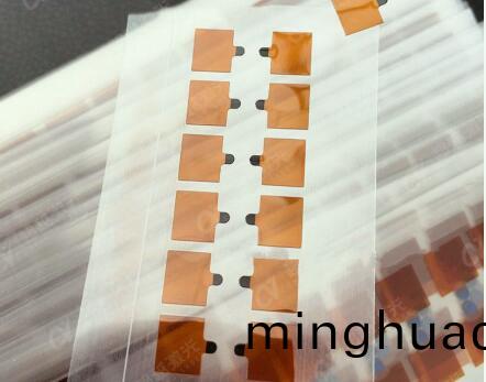 醫(yi)療植入芯(xin)片(pian)樣品